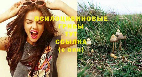 сатива Балабаново