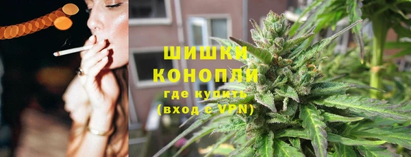сатива Балабаново